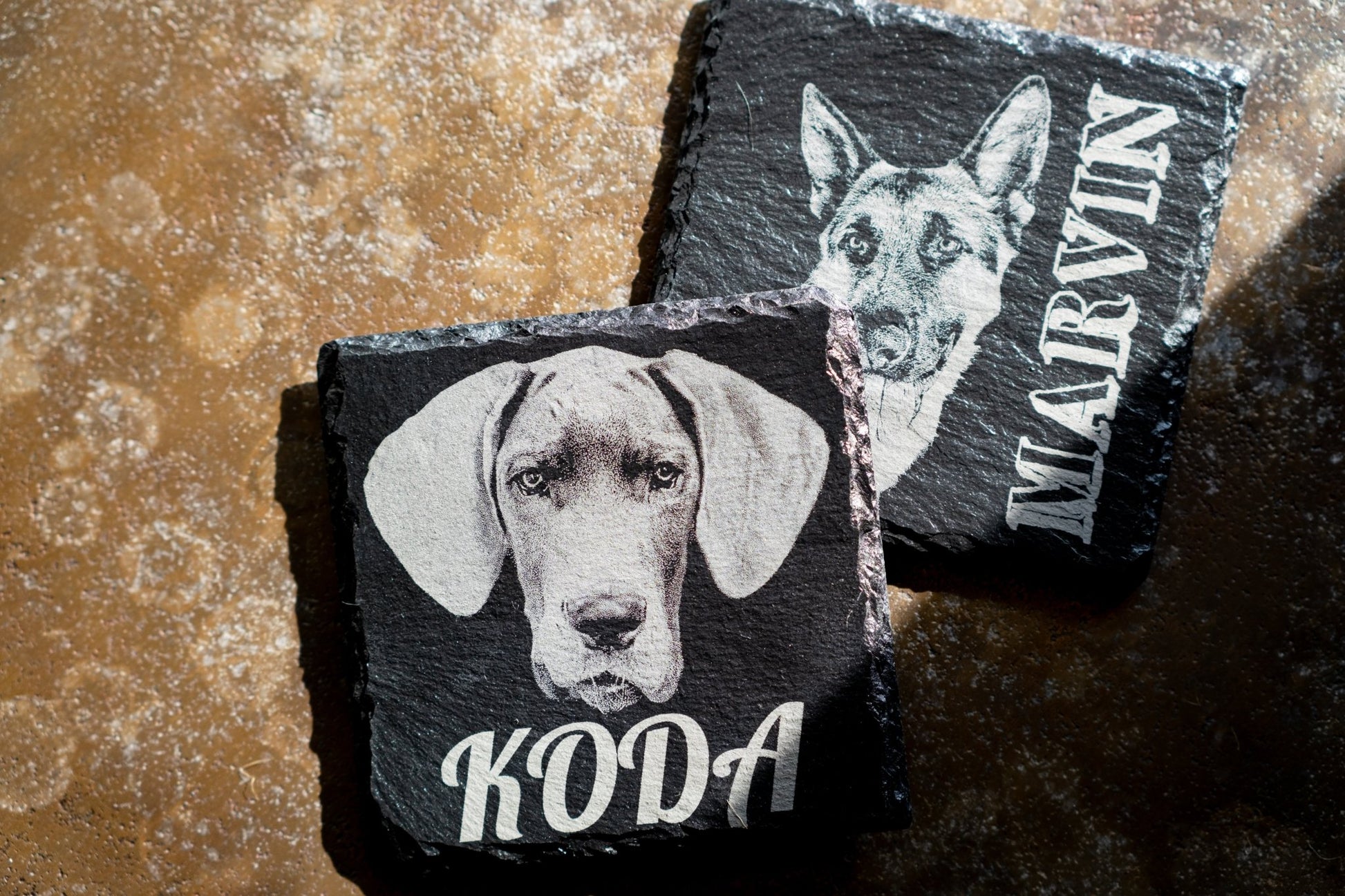Personalised Pet Coasters - Foyle Engraving Co
