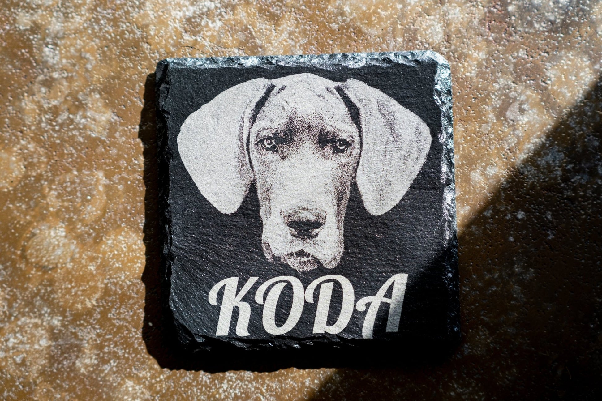 Personalised Pet Coasters - Foyle Engraving Co