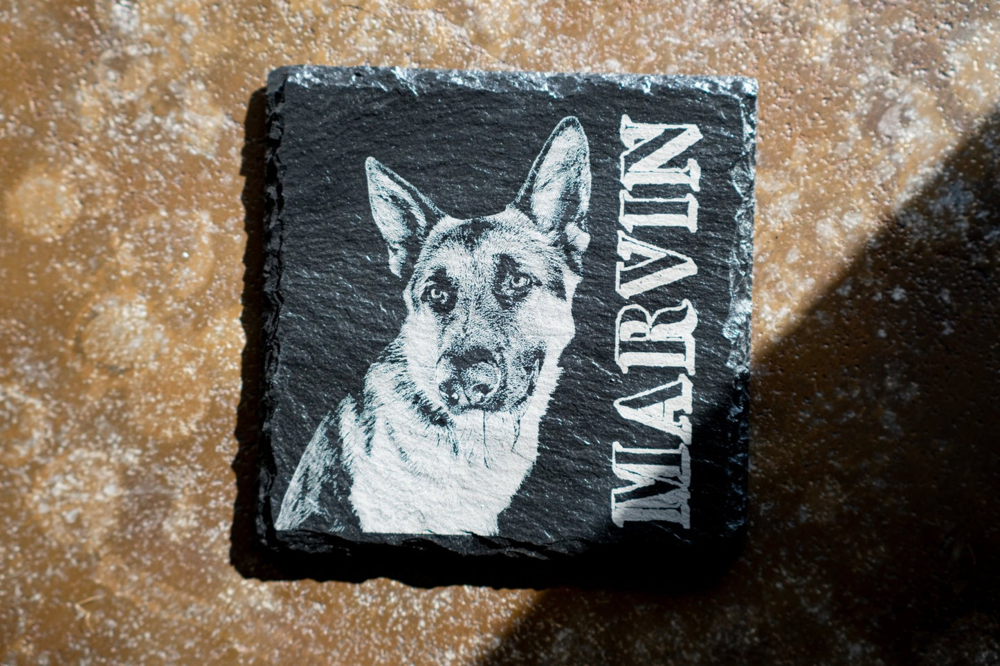 Personalised Pet Coasters - Foyle Engraving Co